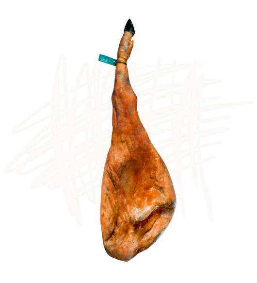 Jamón de Cebo de Campo 50% Ibérico